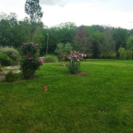 Chambre Avec Entree Independante Dans Un Ecrin De Verdure Dommartin  Εξωτερικό φωτογραφία